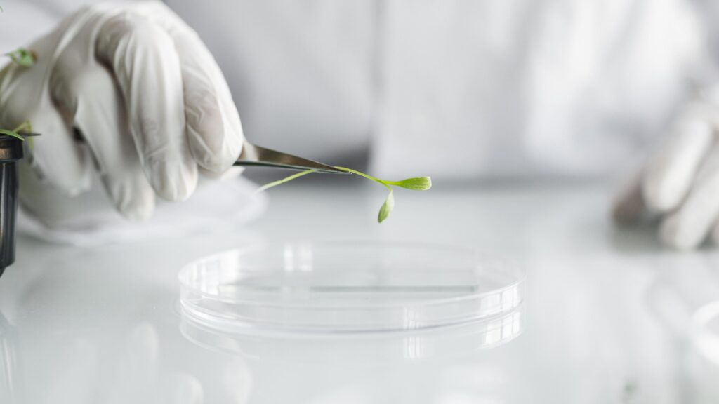 NAUJIENA: NMA startuoja Gamtamokslinė sekcija 5–8 klasių mokiniams